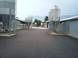  Topwest Asphalt LTD. 3310 Hedley Street 