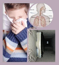  Profile Photos of Indoor Air Quality In Torrance 19901 Prairie Avenue - Photo 9 of 9