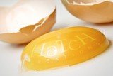 Hatch Creations, Ltd., Greenwich