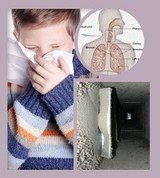  Indoor Air Quality in Torrance 20285 S Western Avenue 