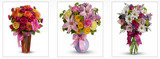  All Occasions Flower Delivery 1534 N. Fairfax Avenue, 1st floor 