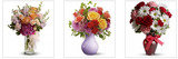  All Occasions Flower Delivery 1534 N. Fairfax Avenue, 1st floor 