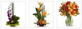  All Occasions Flower Delivery 1534 N. Fairfax Avenue, 1st floor 