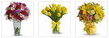 All Occasions Flower Delivery, Los Angeles