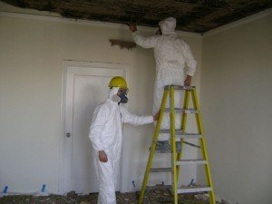  Profile Photos of Mold Remediation Pros 7380 Sand Lake Road - Photo 4 of 4