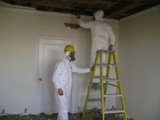 Mold Remediation Pros, Orlando