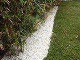 Perfect Garden Care, London