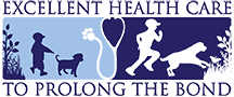  Profile Photos of Richmond Valley Veterinary Practice 4915 Arthur Kill Road  Staten Island, NY 10309, - Photo 1 of 1