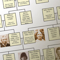 A detail of family tree with photos added Profile Photos of YOUR FAMILY TREE ON CANVAS AND READY TO HANG ON YOUR WALL 2 Stour Close - Photo 2 of 3