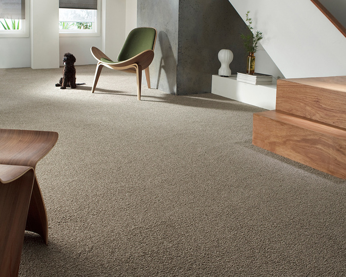  New Album of Reliance Flooring Xtra 423 Riverdale Road, Hawthorn East - Photo 10 of 16