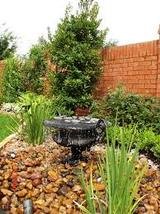 Katy Landscaping & Irrigation, Katy