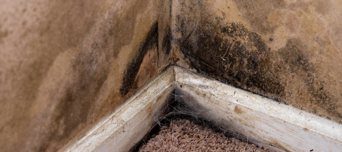  Profile Photos of NYC Water Damage Repair 150 E 58th St#61 - Photo 9 of 11