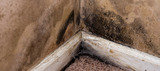 NYC Water Damage Repair, New York City, NY