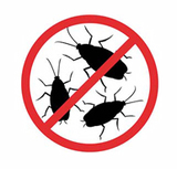 Pest Control Lambeth, Lambeth