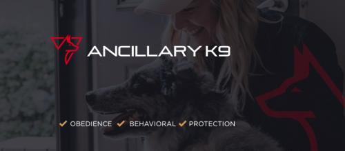  Profile Photos of Ancillary K9 Dog Training 720 S Colorado Blvd Ph N Ste 1357 - Photo 4 of 4