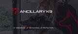 Ancillary K9 Dog Training, Denver