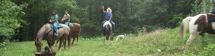  Profile Photos of Whispering Woods Riding Stables 265 Wright Lane - Photo 2 of 4