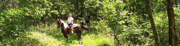  Profile Photos of Whispering Woods Riding Stables 265 Wright Lane - Photo 4 of 4