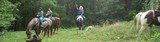  Whispering Woods Riding Stables 265 Wright Lane 