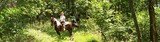  Whispering Woods Riding Stables 265 Wright Lane 