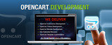 OpenCart Development Services  in India, Ahmedabad