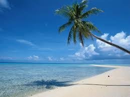 Come see us in paradise! Profile Photos of Virgin Island Saver 9715 Estate Thomas, #123 - Photo 1 of 1