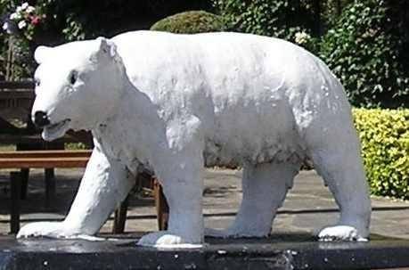  Profile Photos of The White Bear Fairchildes Lane - Photo 3 of 6