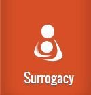 Ambassadors Of Surrogacy, Ilford