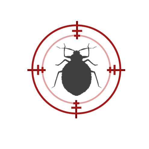  Profile Photos of Bed Bug Hunters 40 JUDGE STREET - Photo 2 of 2