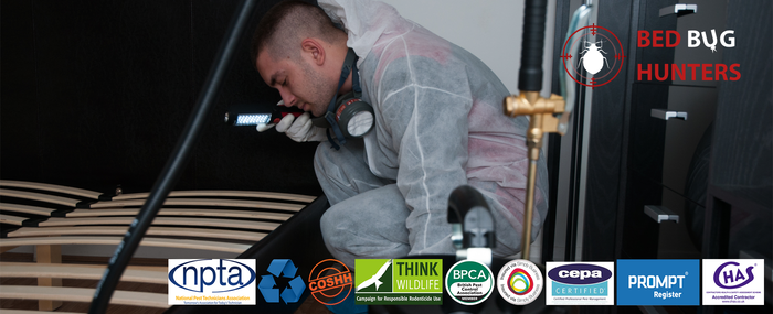  Profile Photos of Bed Bug Hunters 40 JUDGE STREET - Photo 1 of 2