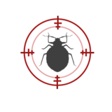Bed Bug Hunters, WATFORD
