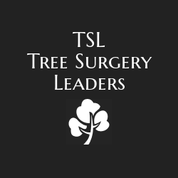 TSL Tree Surgery Leaders Profile Photos of TSL Tree Surgery Leaders Harper Road - Photo 1 of 5