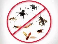 Pest Control Radlett, 15d Hillside Rd, Radlett, WD7 7BH, 02036160452, http://www.pestcontrolradlett.com Profile Photos of Pest Control Radlett 15d Hillside Rd - Photo 2 of 5 Pest Control Radlett, 15d Hillside Rd, Radlett, WD7 7BH, 02036160452, http://www.pestcontrolradlett.com Profile Photos of Pest Control Radlett 15d Hillside Rd - Photo 2 of 5