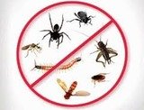 Pest Control Radlett, 15d Hillside Rd, Radlett, WD7 7BH, 02036160452, http://www.pestcontrolradlett.com, Pest Control Radlett, Radlett