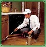 Pest Control Radlett, 15d Hillside Rd, Radlett, WD7 7BH, 02036160452, http://www.pestcontrolradlett.com, Pest Control Radlett, Radlett