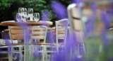 The Vine Restaurant - Sevenoaks, Sevenoaks