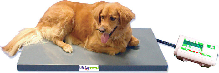  Profile Photos of Umatech Weighing Scales in Tirupur, Tamilnadu, INDIA No.1 Electronic Weighing Scales Manufacturer, 39, KPN Colony, 5th Street, Tiruppur Main, Tirupur - 641601 - Photo 28 of 30