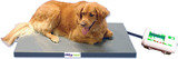  Umatech Weighing Scales in Tirupur, Tamilnadu, INDIA No.1 Electronic Weighing Scales Manufacturer, 39, KPN Colony, 5th Street, Tiruppur Main, Tirupur - 641601 
