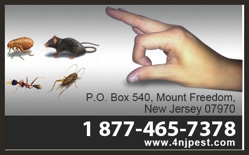  Pricelists of NJ Pest Control PO Box 540 - Photo 1 of 1