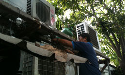  Profile Photos of Time Wing Trading 160 Pemimpin Place - Photo 5 of 8
