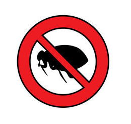  Profile Photos of Pest Control Epping 49 Bodley Close - Photo 5 of 5