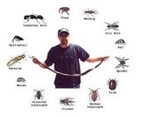 Pest Control Epping, 49 Bodley Close, Epping, CM16 5JJ, 02036160453, http://www.pestcontrolepping.com Pest Control Epping 49 Bodley Close 