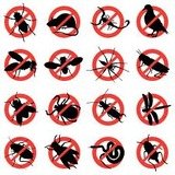 Pest Control Epping, 49 Bodley Close, Epping, CM16 5JJ, 02036160453, http://www.pestcontrolepping.com, Pest Control Epping, Epping