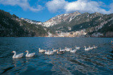 Nainital Tour Packages, New Delhi