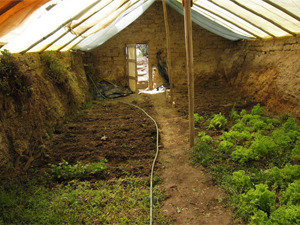 Greenhouse Pest control delhi NCR Profile Photos of Professionalâ€™z PMS C â€“ 1155, Sushant Lok â€“ 1 - Photo 1 of 28