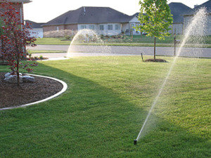 Lawn Treatment delhi ncr Profile Photos of Professionalâ€™z PMS C â€“ 1155, Sushant Lok â€“ 1 - Photo 14 of 28