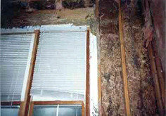 termite control in manesar Profile Photos of Professionalâ€™z PMS C â€“ 1155, Sushant Lok â€“ 1 - Photo 4 of 28