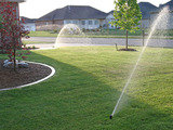 Lawn Treatment delhi ncr Professionalâ€™z PMS C â€“ 1155, Sushant Lok â€“ 1 