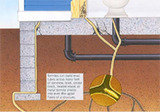 anti termite control in gurgaon Professionalâ€™z PMS C â€“ 1155, Sushant Lok â€“ 1 