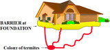 termite control gurgaon, Professionalâ€™z PMS, Gurgaon